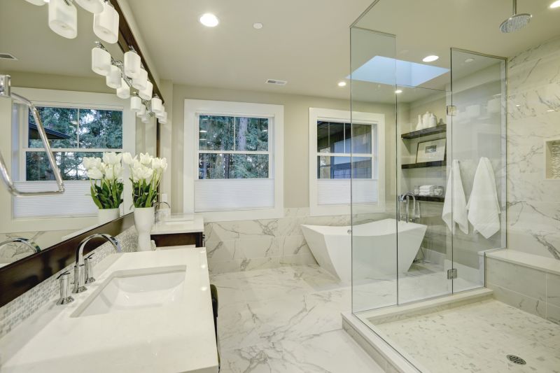 Elegant Shower and Vanity